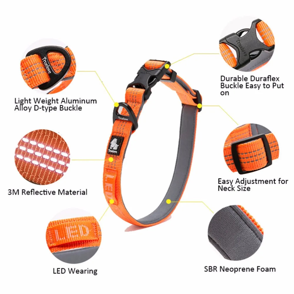 Orange LED dog collar with reflective material, adjustable durable buckles, and neoprene foam