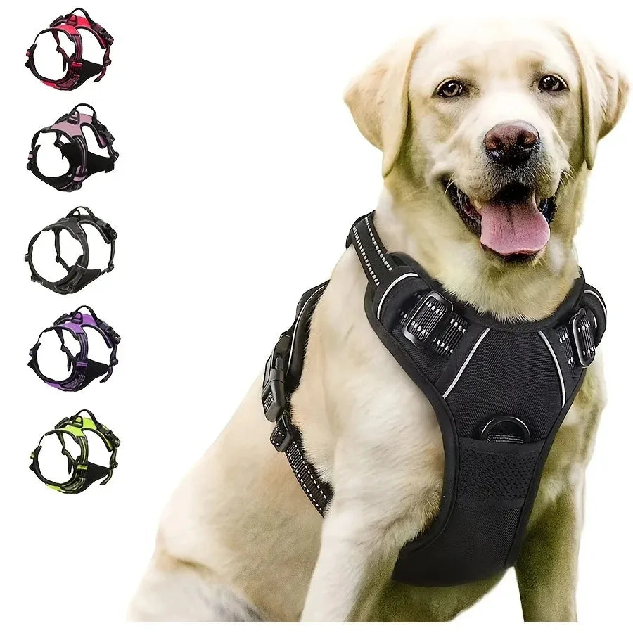 Large dog wearing a black no-pull harness with reflective trim, other harness colors shown.