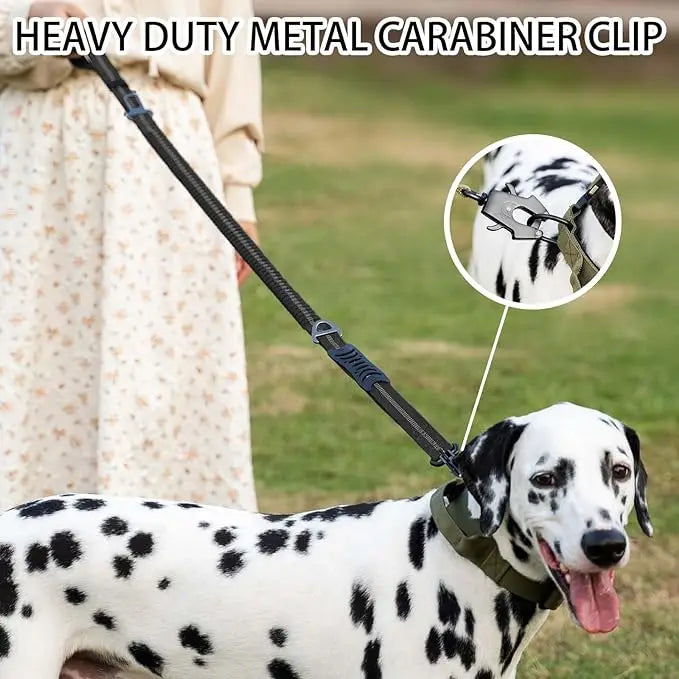 Heavy Duty Tactical Bungee Lead