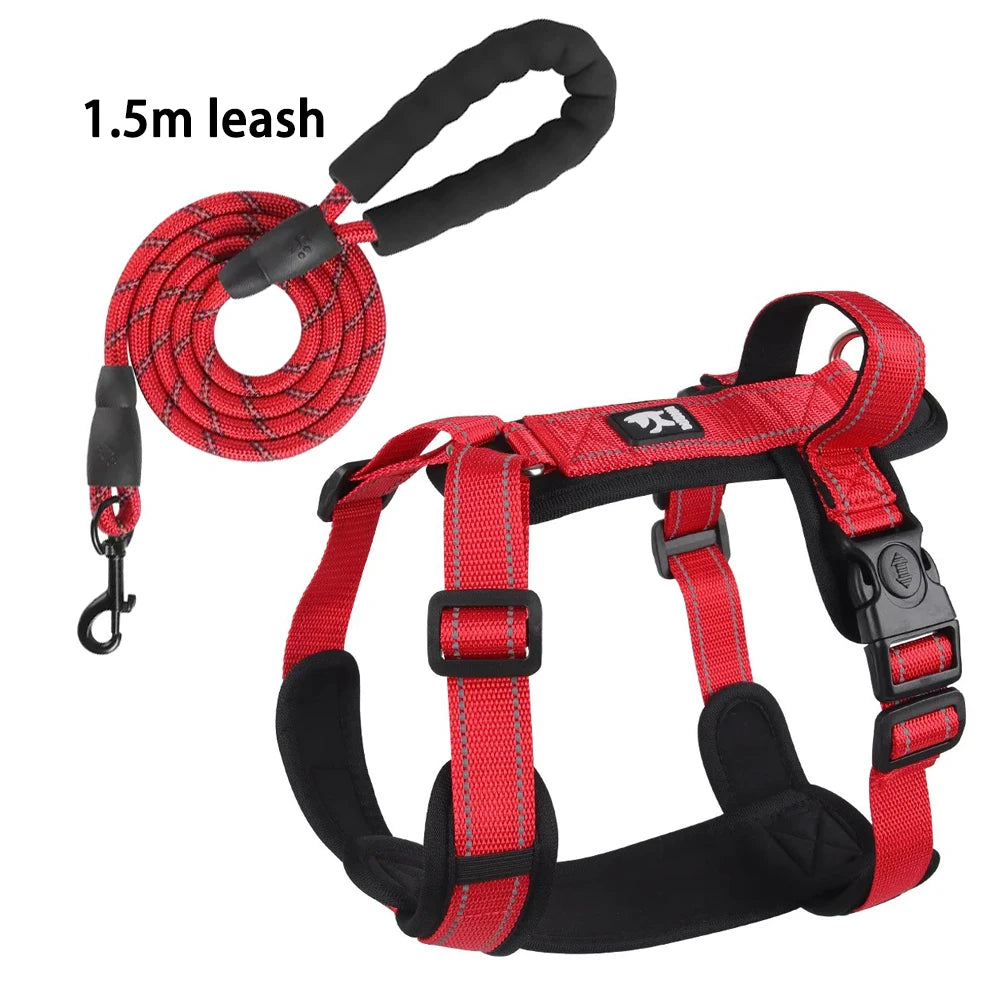 Lightweight Reflective Safety Harness