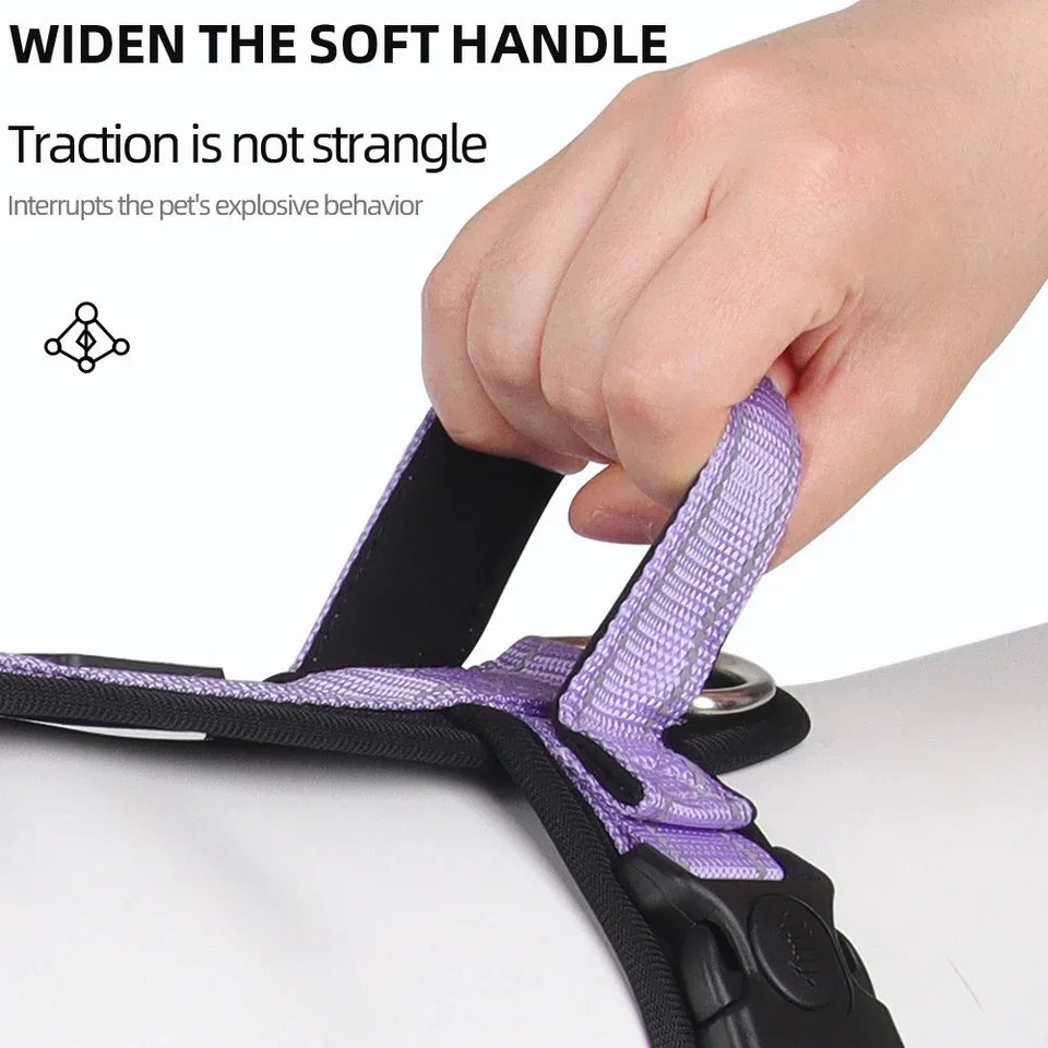 Lightweight Reflective Safety Harness