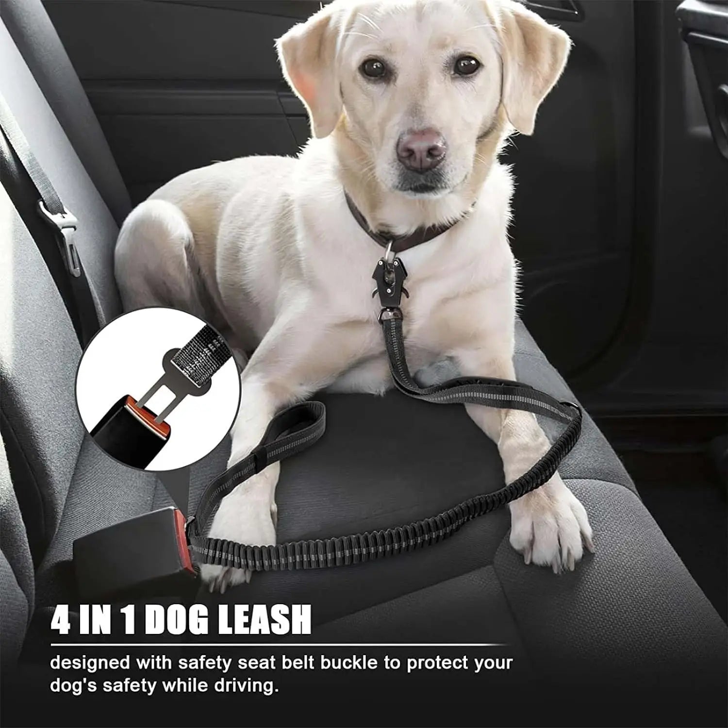 Heavy Duty Tactical Bungee Lead