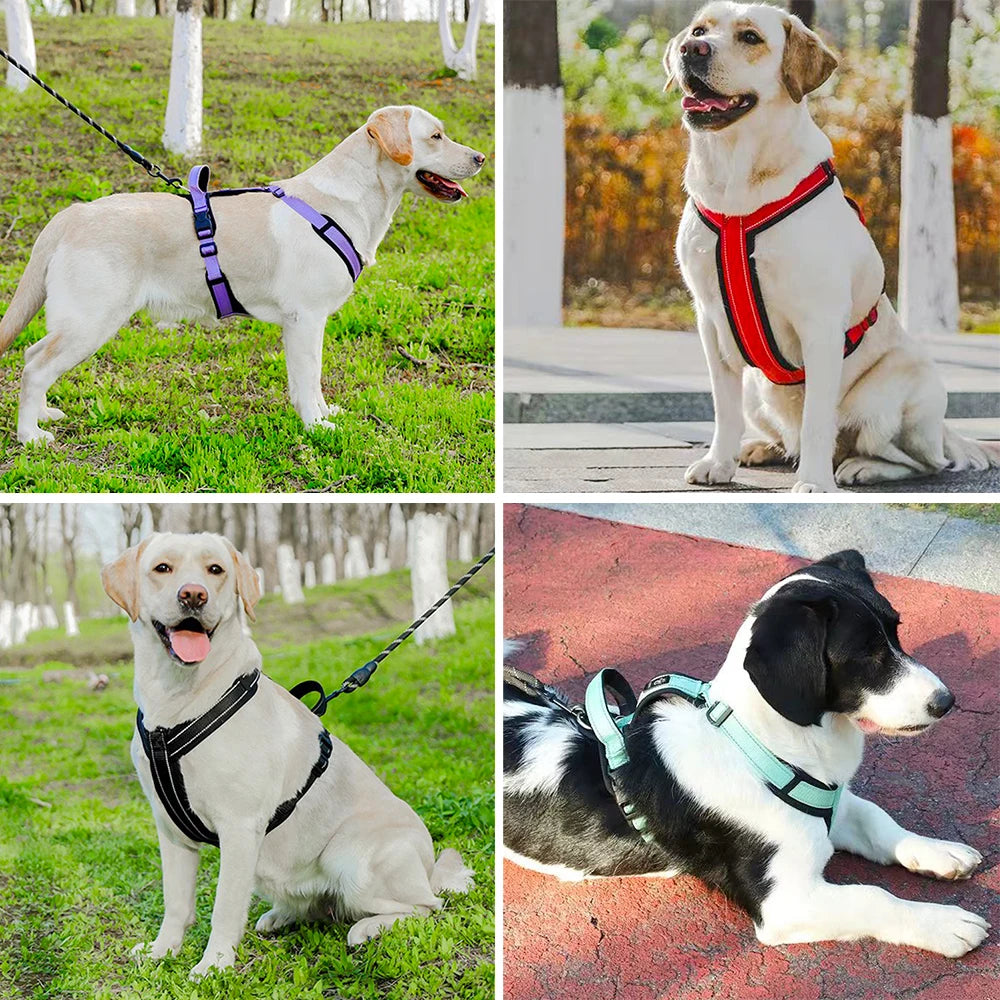 Lightweight Reflective Safety Harness