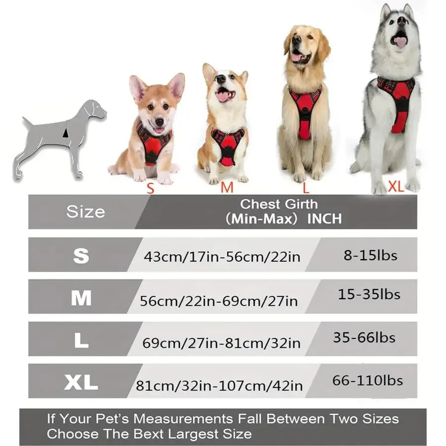 Dog harness size chart with four dogs wearing red harnesses and chest girth measurements.