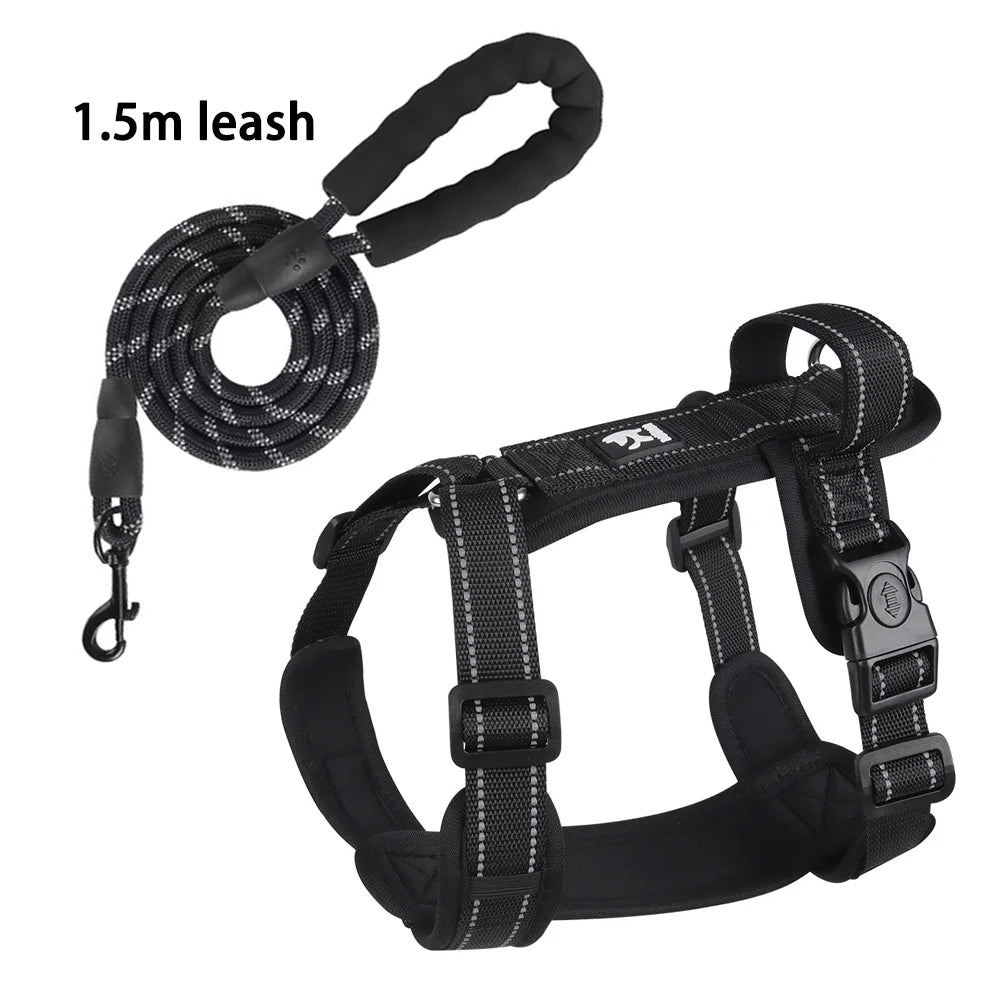 Lightweight Reflective Safety Harness