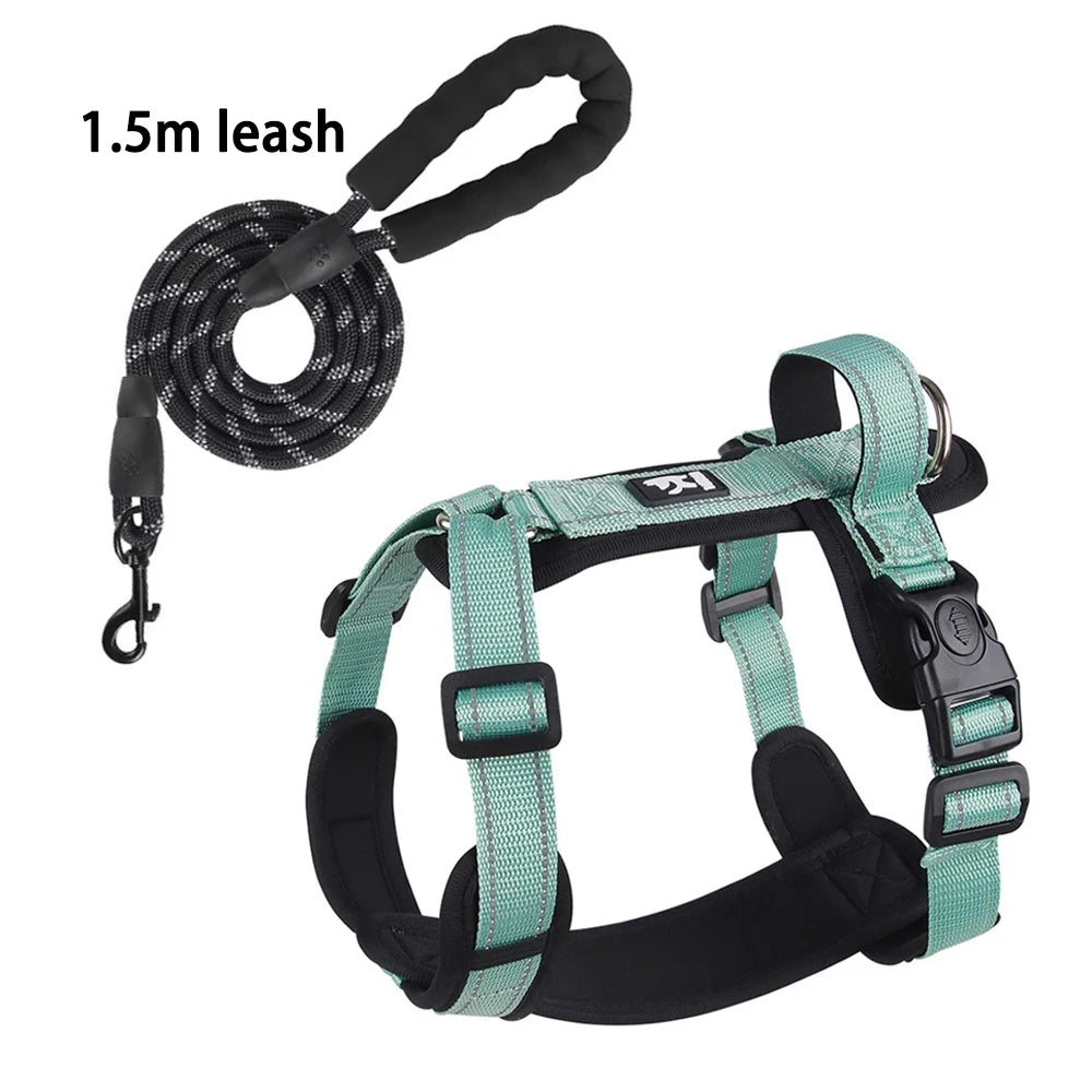 Lightweight Reflective Safety Harness