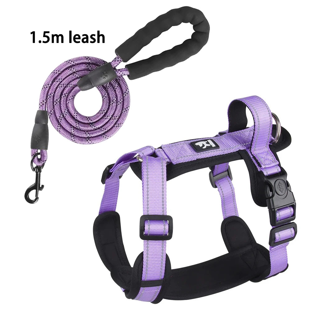 Lightweight Reflective Safety Harness