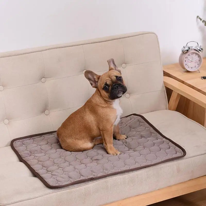 Cooling Summer Mat For Dogs