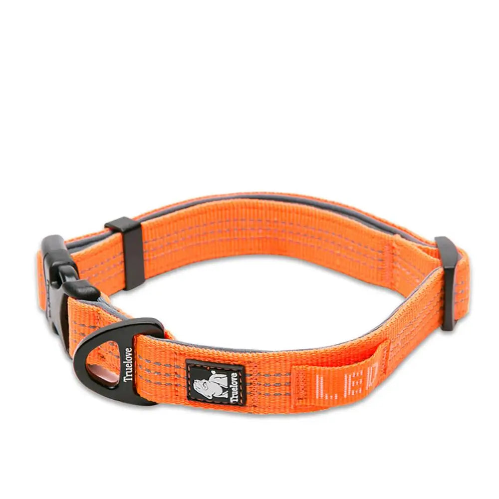 Reflective Neoprene Padded Collar