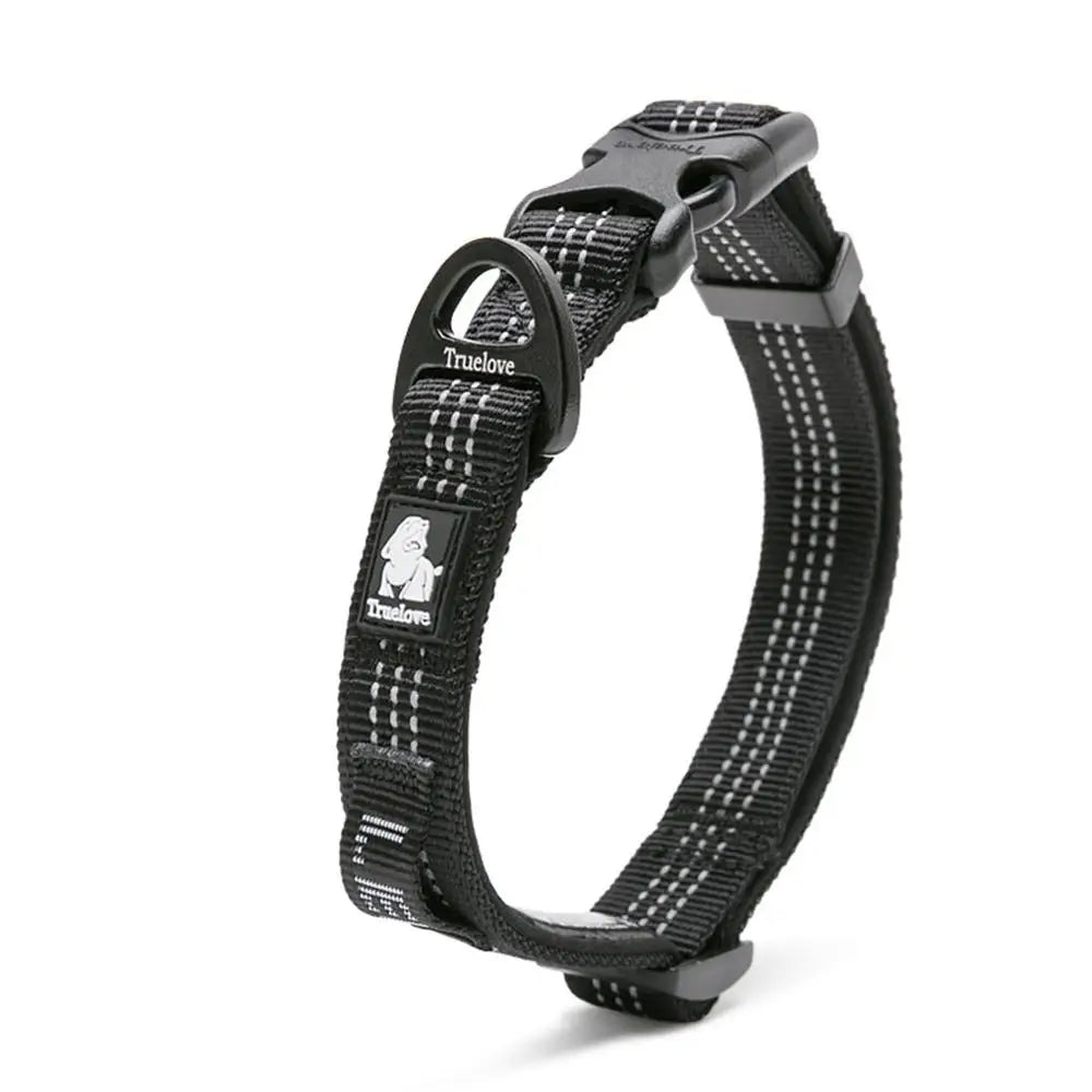 Black reflective nylon dog collar with buckle and metal D-ring for leash attachment