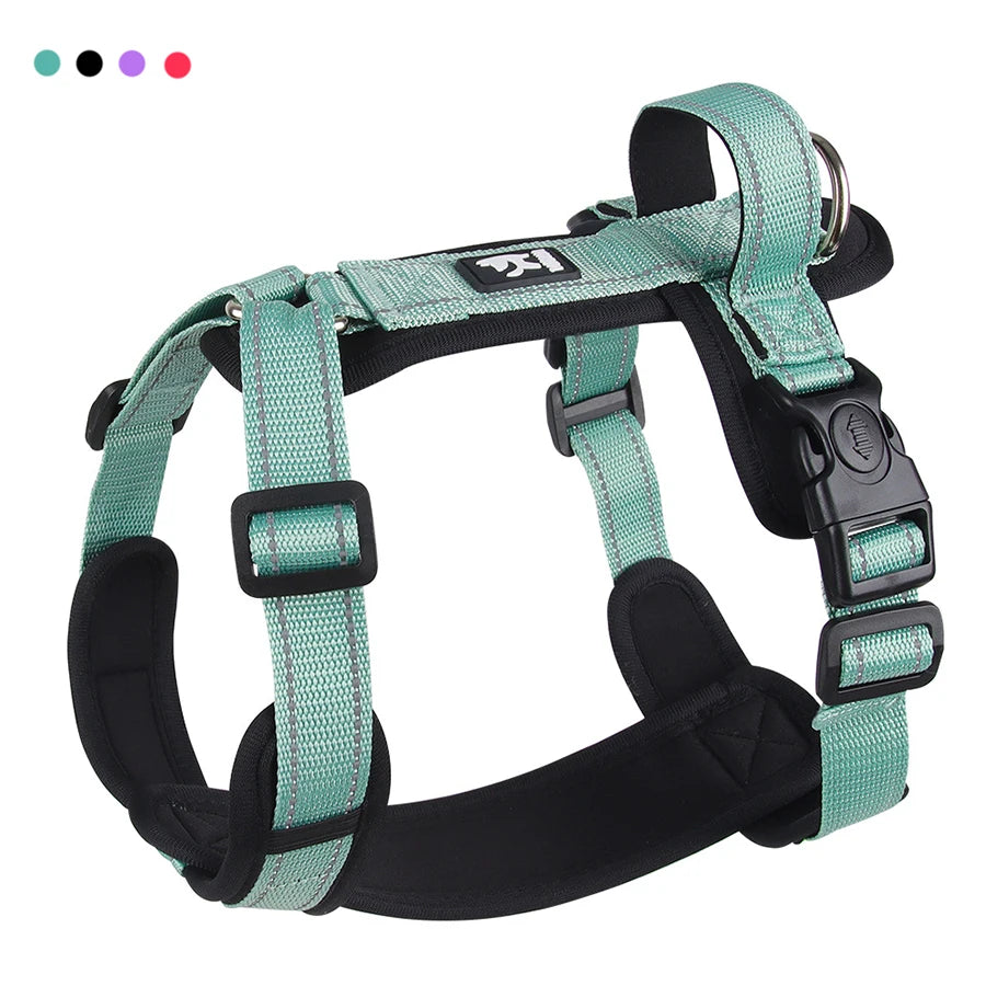 Lightweight Reflective Safety Harness