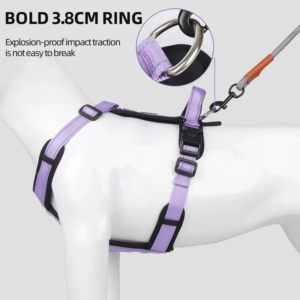 Lightweight Reflective Safety Harness