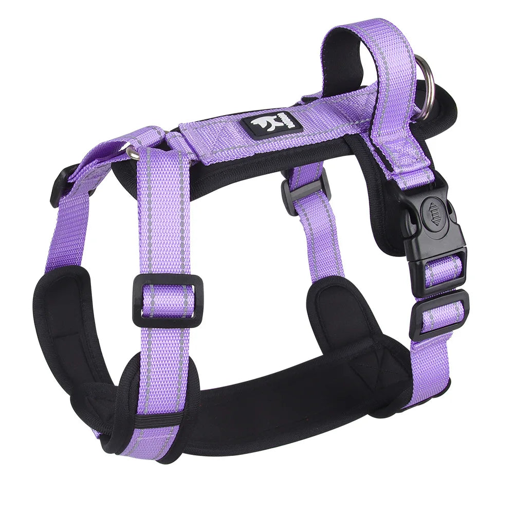 Lightweight Reflective Safety Harness