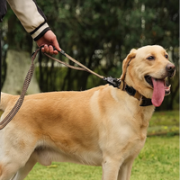 Heavy Duty Tactical Bungee Lead