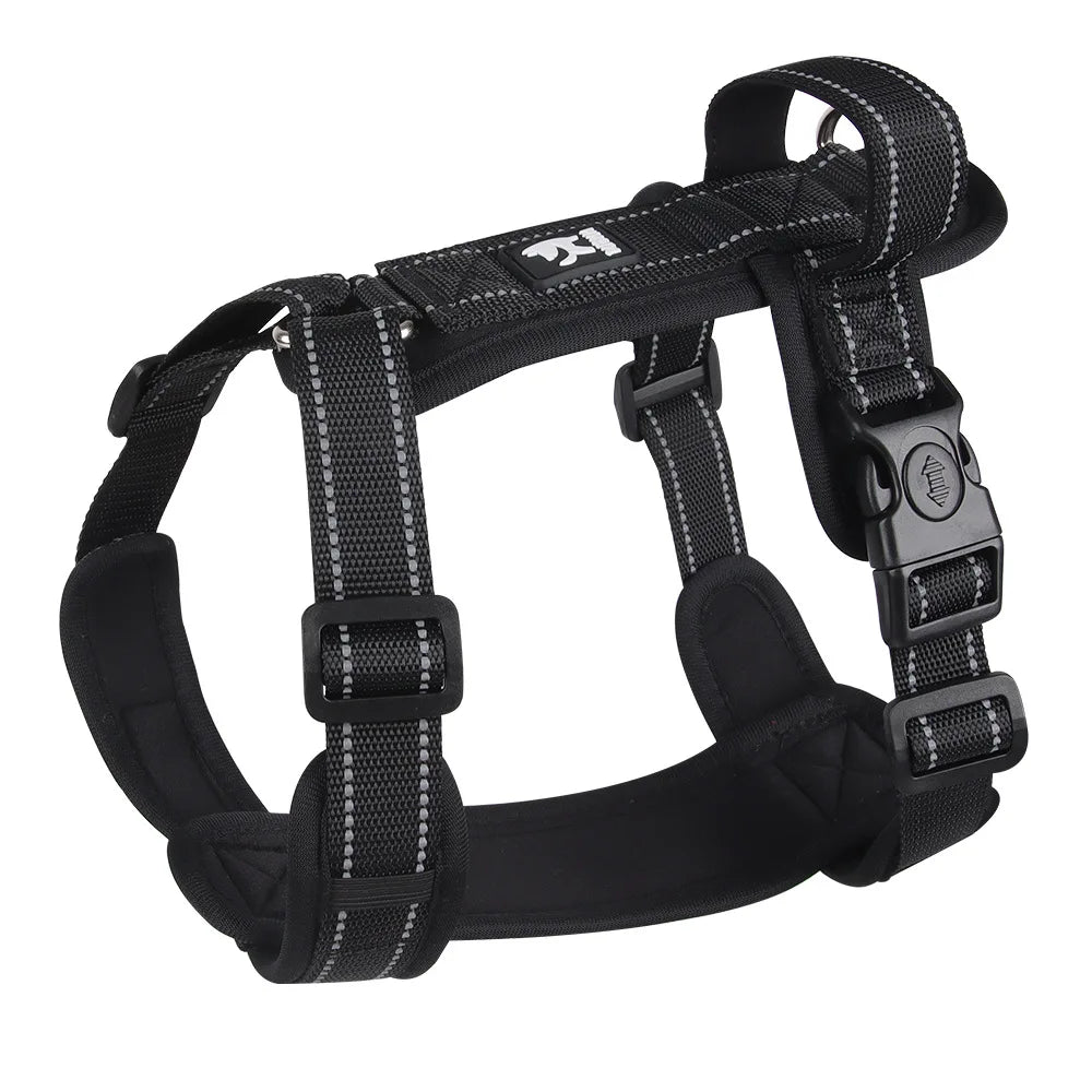 Lightweight Reflective Safety Harness