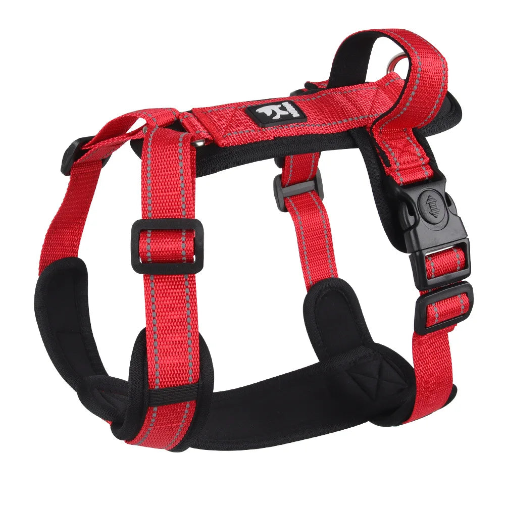 Lightweight Reflective Safety Harness