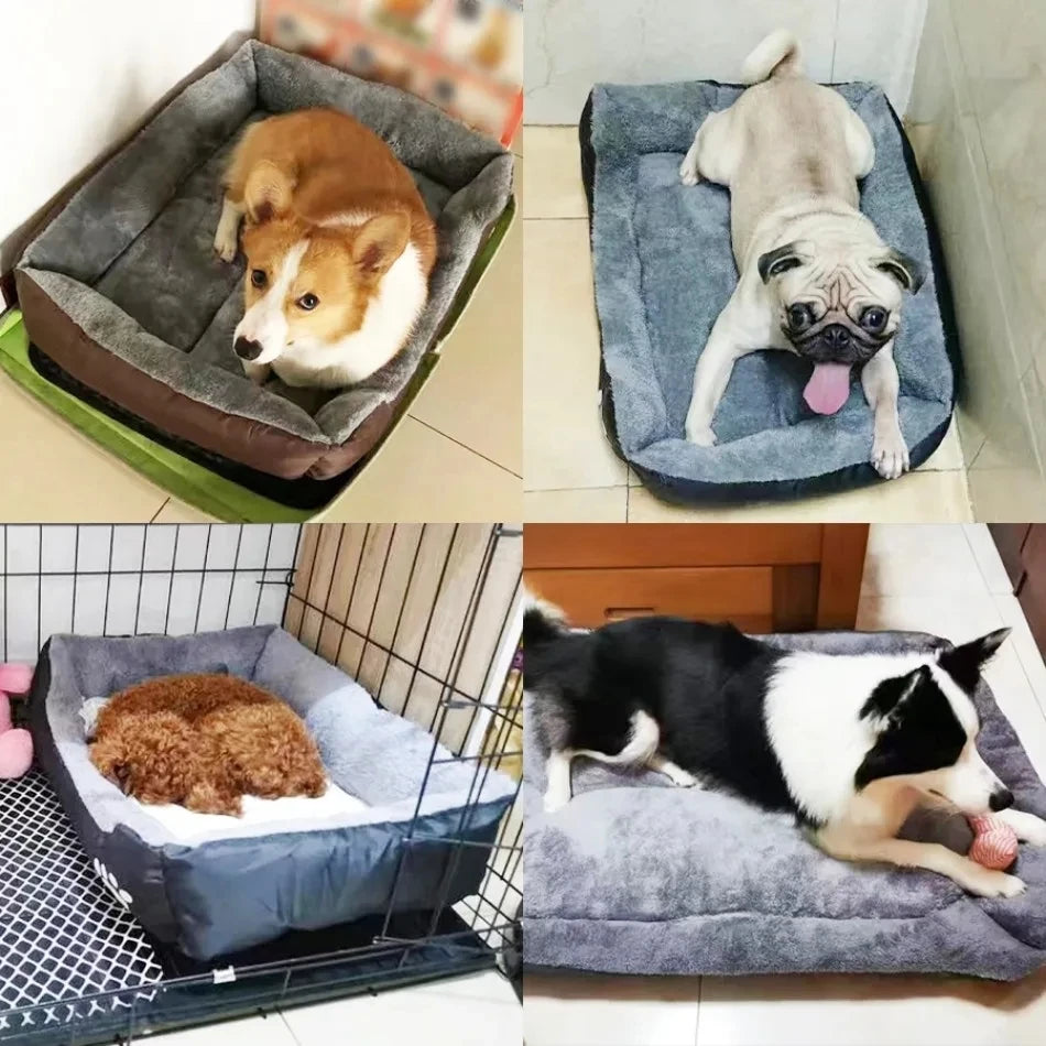 Four dogs of different breeds resting on plush, supportive grey dog beds indoors.