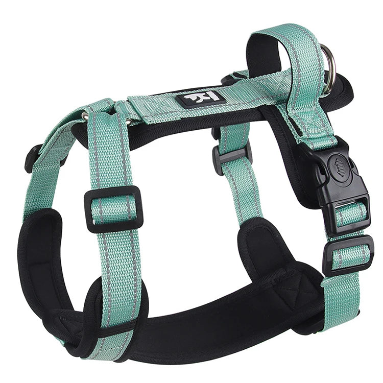 Lightweight Reflective Safety Harness