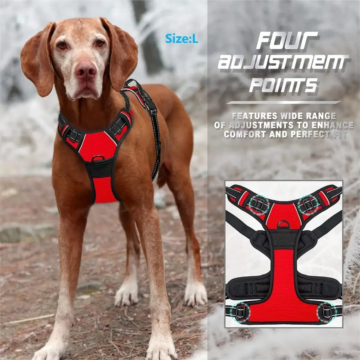 Large brown dog wearing red adjustable no-pull harness, outdoor setting, closeup view inset